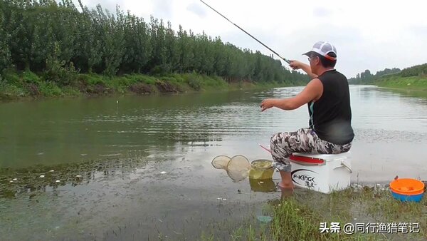 天氣冷釣魚釣深水還是淺水 天氣冷釣鯽魚多深水