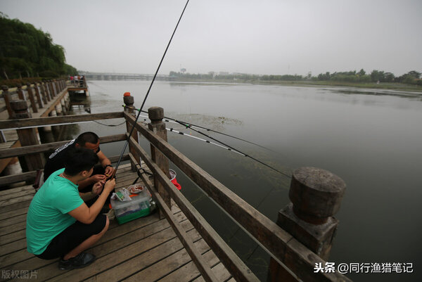 天氣冷釣魚釣深水還是淺水 天氣冷釣鯽魚多深水