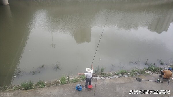 天氣冷釣魚釣深水還是淺水 天氣冷釣鯽魚多深水