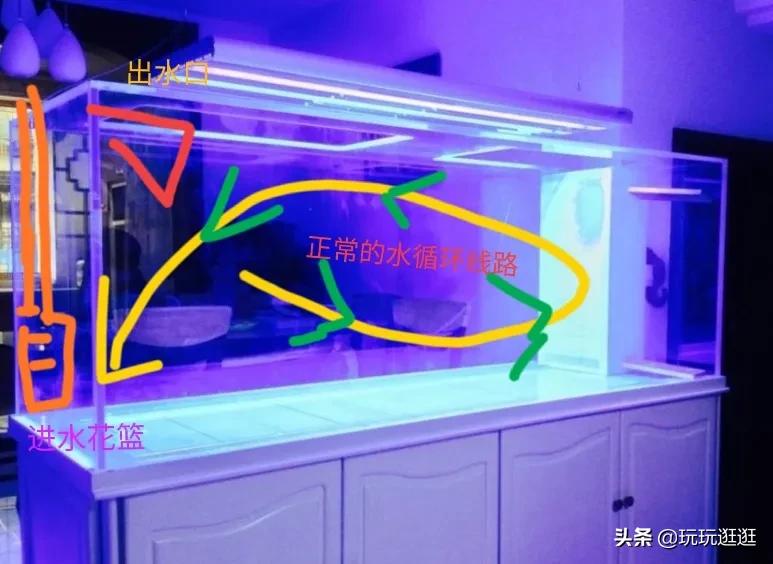 自制魚缸無電永久水循環 免電自動循環魚缸制作方法