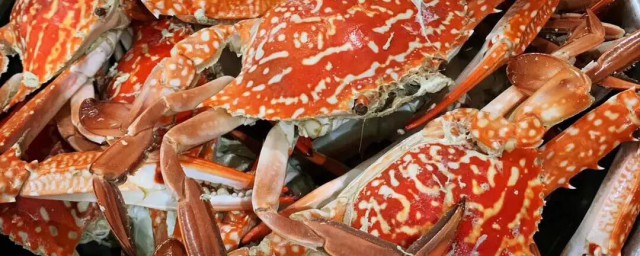 海飛蟹煮多長時間 海飛蟹煮多久時間