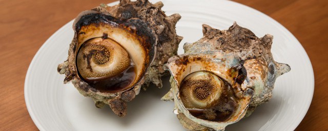 大海螺煮多長時間能熟 大海螺煮多久能熟