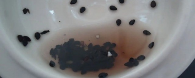 老鼠藥泡水後是什麼顏色 毒鼠強溶水後變麼顏色