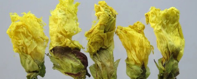 黃蜀葵花泡水後是什麼顏色 黃蜀葵花對人體有什麼好處