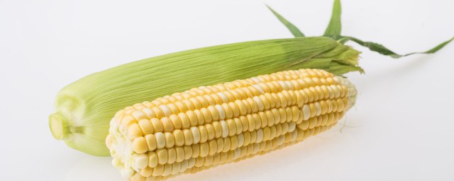 新鮮玉米棒常溫下怎麼保存 如何常溫下保存玉米