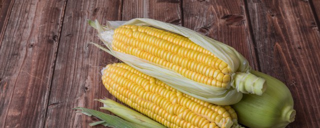 新鮮玉米常溫怎麼保存 新鮮玉米如何保存