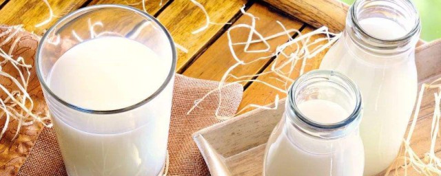 怎麼喝純牛奶減肥 喝純牛奶減肥方法