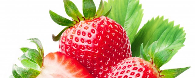 草莓芽幾天澆一次水 草莓苗需要幾天澆一次水