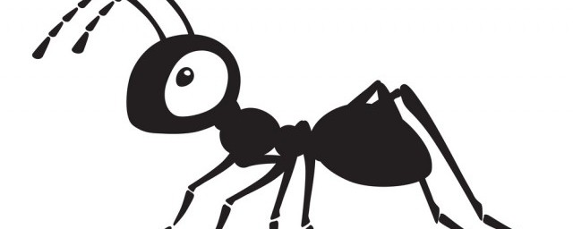 涼席上為什麼有螞蟻 涼席上有螞蟻原因