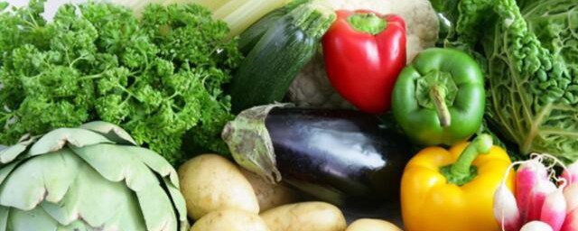 現在2月能種什麼菜蔬菜 2月能種哪些菜蔬菜