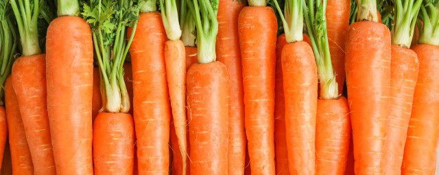 胡蘿卜可以冷凍保存嗎 胡蘿卜是否可以冷凍保存