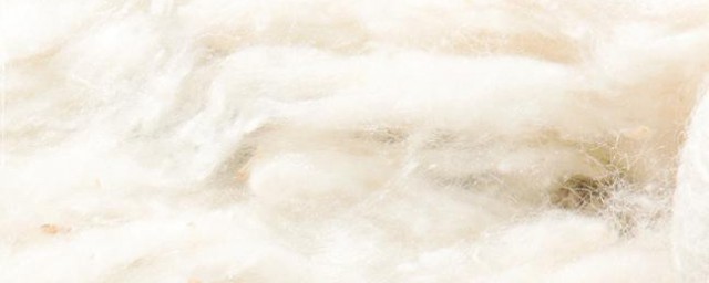 桑落棉是什麼材質 桑落棉材質介紹