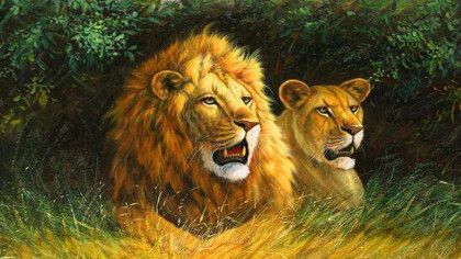 百獸之王是老虎還是獅子