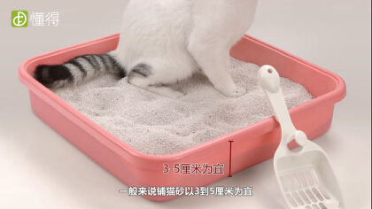 貓砂鋪多厚最適宜（圖文）