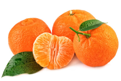 橘子和橙子的區別是什麼