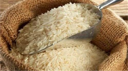 大米為什麼是最垃圾的主食