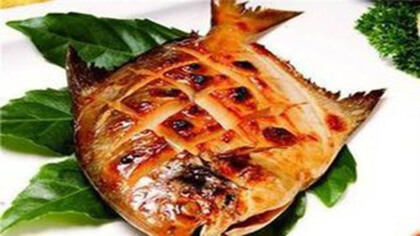 金鯧魚的營養價值禁忌及功效