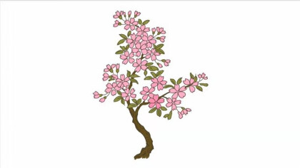 櫻花樹簡筆畫