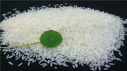黃花粘水稻的特性是什麼