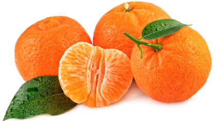 橘子皮對貓有害嗎