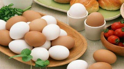 雞蛋的營養成分是什麼