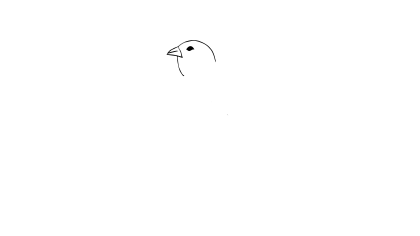 珍珠鳥簡筆畫怎麼畫
