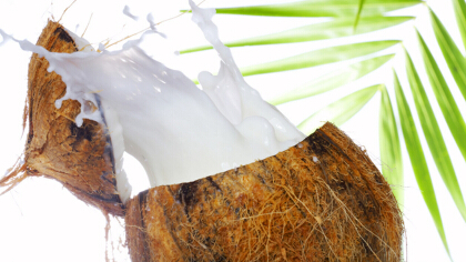 椰子水的禁忌與副作用