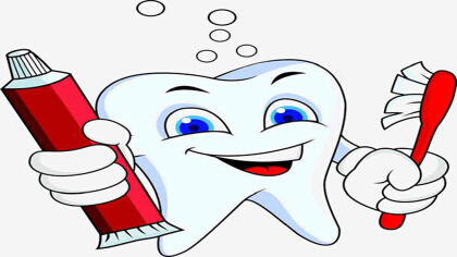 關於牙齒的知識有哪些