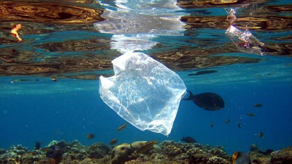 塑料污染的危害