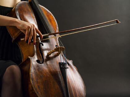 低音提琴和大提琴的區別