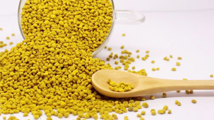 油菜花粉可以長期吃嗎