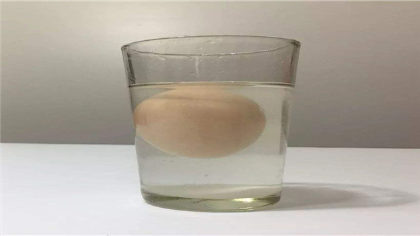 雞蛋遇到鹽水會浮起來的原因