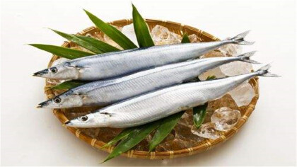 秋刀魚為什麼不能多吃