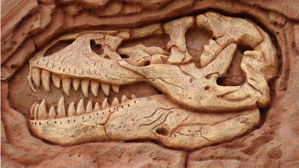 恐龍化石怎麼形成的