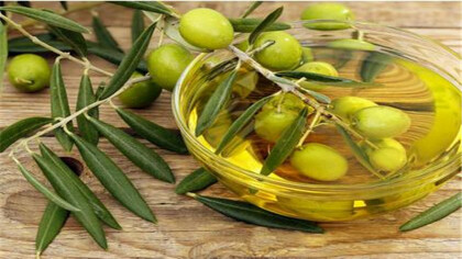 橄欖精油的功效與作用是什麼