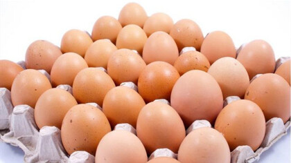 雞蛋中毒有哪些表現