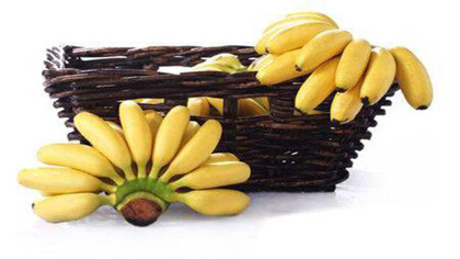 帝王蕉和普通香蕉區別