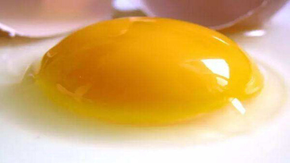 雞蛋黃一天能吃幾個