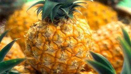 菠蘿含維生素c多嗎