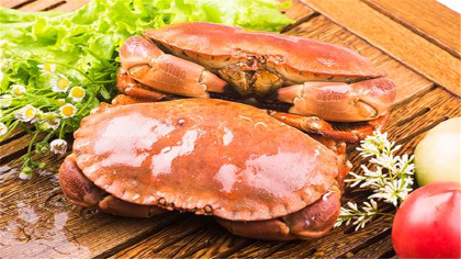黃道蟹和面包蟹的區別是什麼