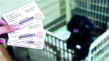 工作犬證能代替狗證嗎