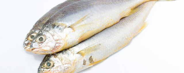 大幹魚仔怎麼做好吃法 怎麼做大幹魚仔好吃法