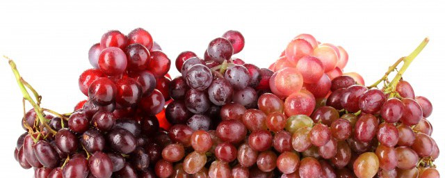 河北地區葡萄什麼時候熟 關於葡萄的介紹