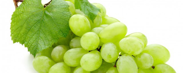 葡萄什麼時候熟 幾月份葡萄成熟