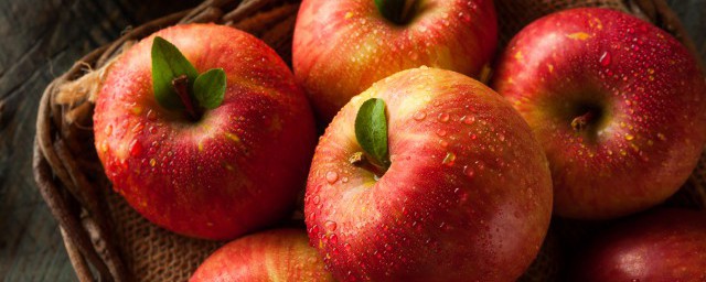 紅富士蘋果什麼時候熟 幾月份紅富士蘋果成熟