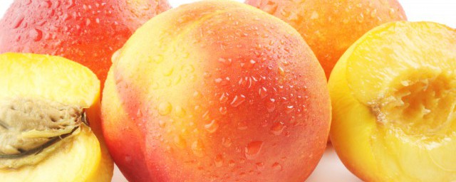桃子什麼時候熟 哪個季節桃子成熟