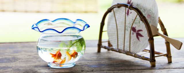 魚缸玻璃膠多久能幹 魚缸玻璃膠多久能幹