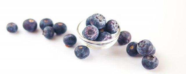 藍莓什麼季節適合種植 藍莓適合種植的季節