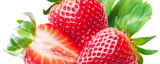 廣東草莓適合什麼季節種植 如何種植草莓