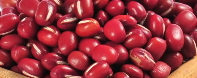 紅小豆適合什麼季節種植 紅小豆適合什麼時候種植